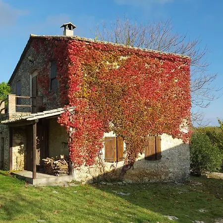 Silence And Relaxation In The Woods Of Umbria