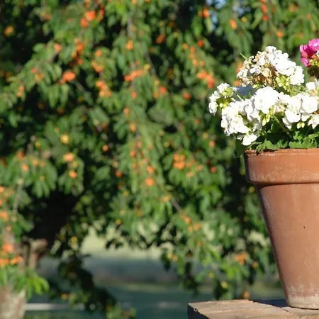 Silence And Relaxation In The Woods Of Umbria Apartment Porchiano (Terni)